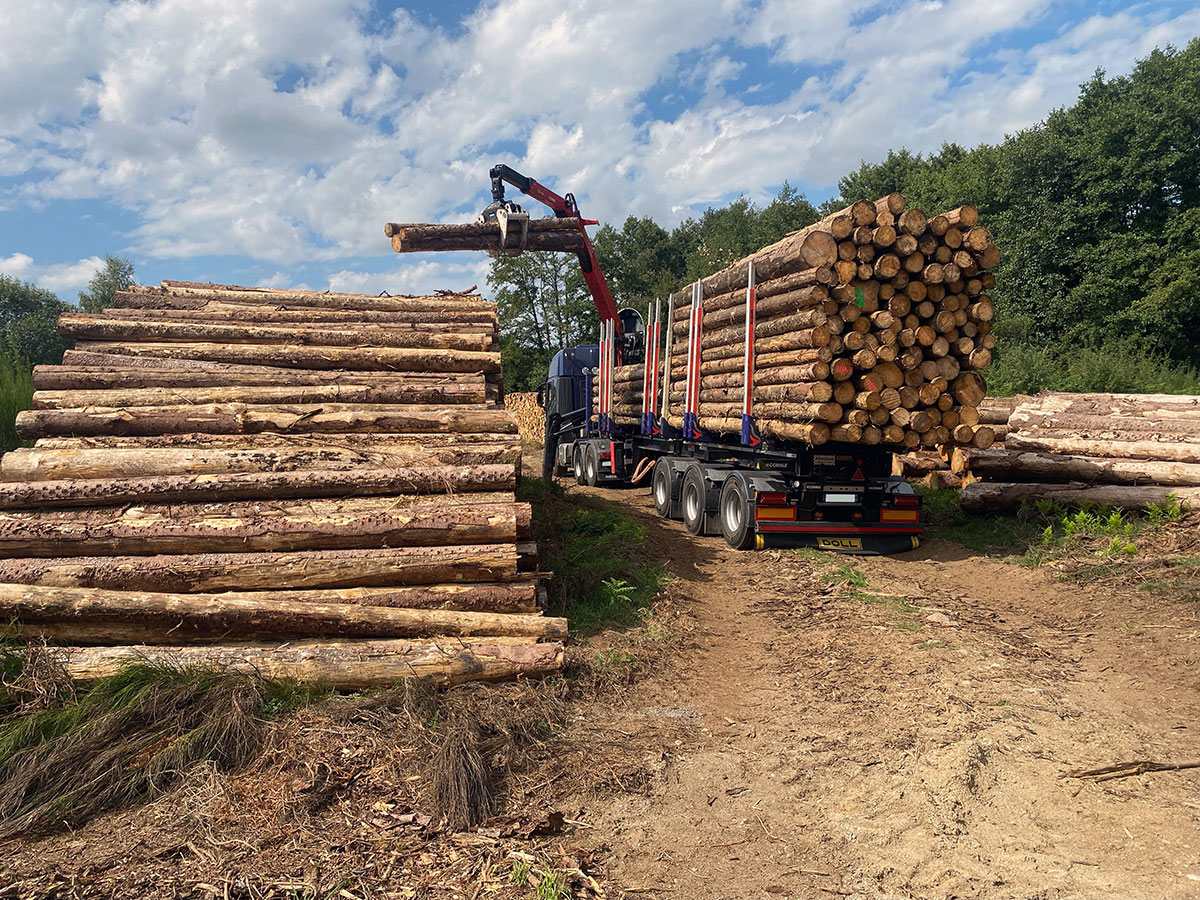 CHEZ-CORNUT-CARROSSERIE-INDUSTRIELLE-EQUIPEMENT-FORESTIER-semi-remorque-doll