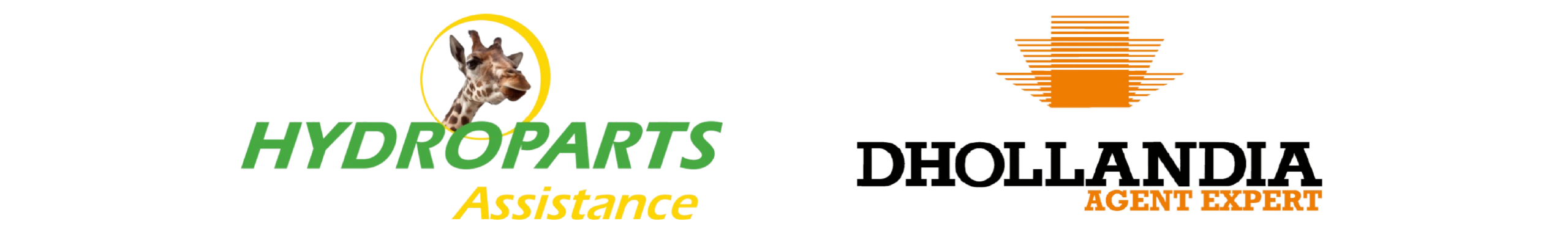 Logo fournisseur Hayon - Hydroparts Assistance - Dhollandia Agent Expert Logo fournisseur Hayon - Hydroparts Assistance - Dhollandia Agent Expert